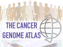 The Cancer Genome Atlas (TCGA)